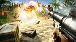Far Cry 3 (3).jpg