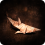 B3DC47A21B4499B6EB506B41D1BB940BDA9E1347.PNG