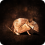 3463AA6F6A83B9AE5CE8AD332D9E1580E79F2287.PNG