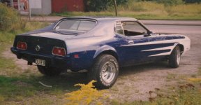 Mustang2.jpg Mustang2.jpg