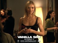 vanilla_sky_003.jpg