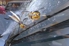 bee_movie_still.jpg