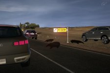 Toskana - Asphalt_4.jpg