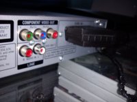 IMG_20120304_130952.jpg