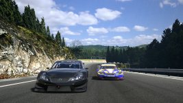 Deep Forest Raceway_3.jpg