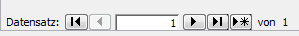Datensatznavigator.png