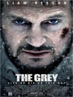 the grey.jpg