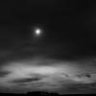 Vampirblut