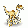 RaptorNinja
