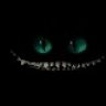 MisterTom