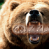 Grizzly153