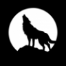 KoelnerLeitWolf