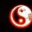 dmschalke
