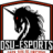 DSU_eSports
