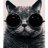 Liiviid-