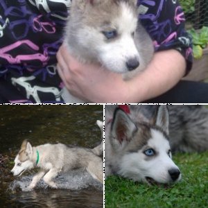Mein Babyi :)