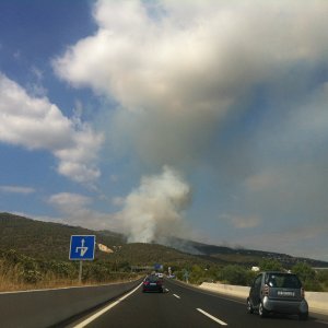 Auch das gehört leider zu Mallorca.