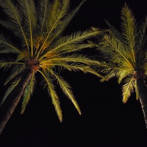 Mallorca bei Nacht.