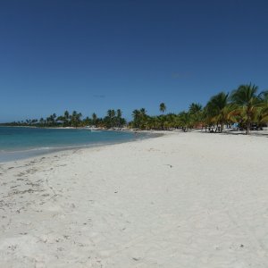 DSCF1249