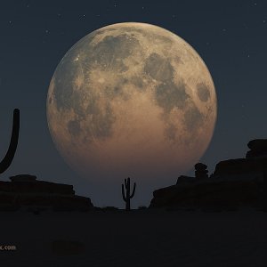 Brother Moon