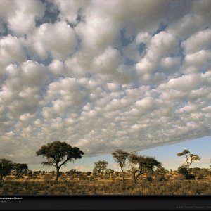 Clouds