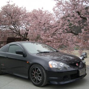 vtec_cars_racing fahrzeug aus japan