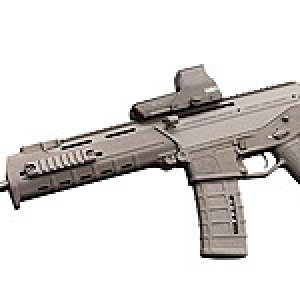 BushmasterACR