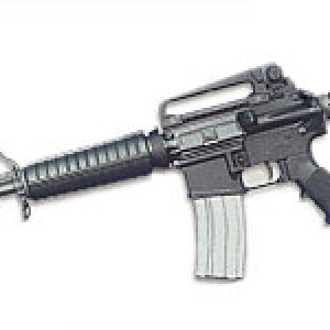 M4 bushmaster