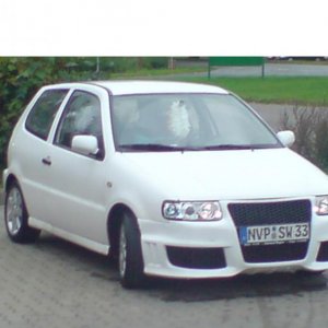 Mein Polo