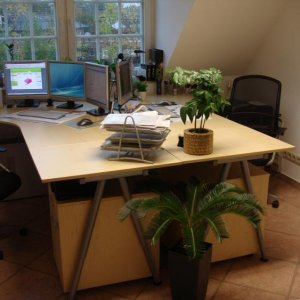 In dem Büro arbeite ich unter anderem an diesem Forum ;). Auf der linken Seite sitze ich, gegenüber sitzt Bebiekatze.