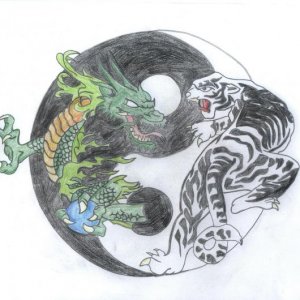 Ying Yang