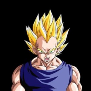 Vegeta ssj2 picture