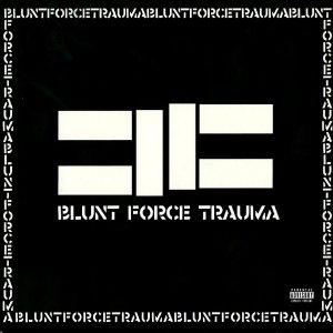 2011   Blunt Force Trauma