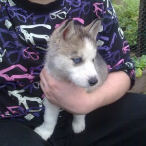 Foto343