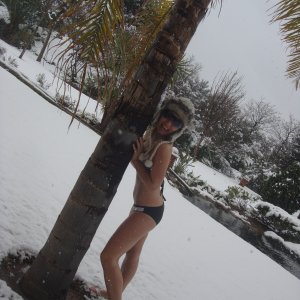Schnee und Palmen. Passt das zusammen?