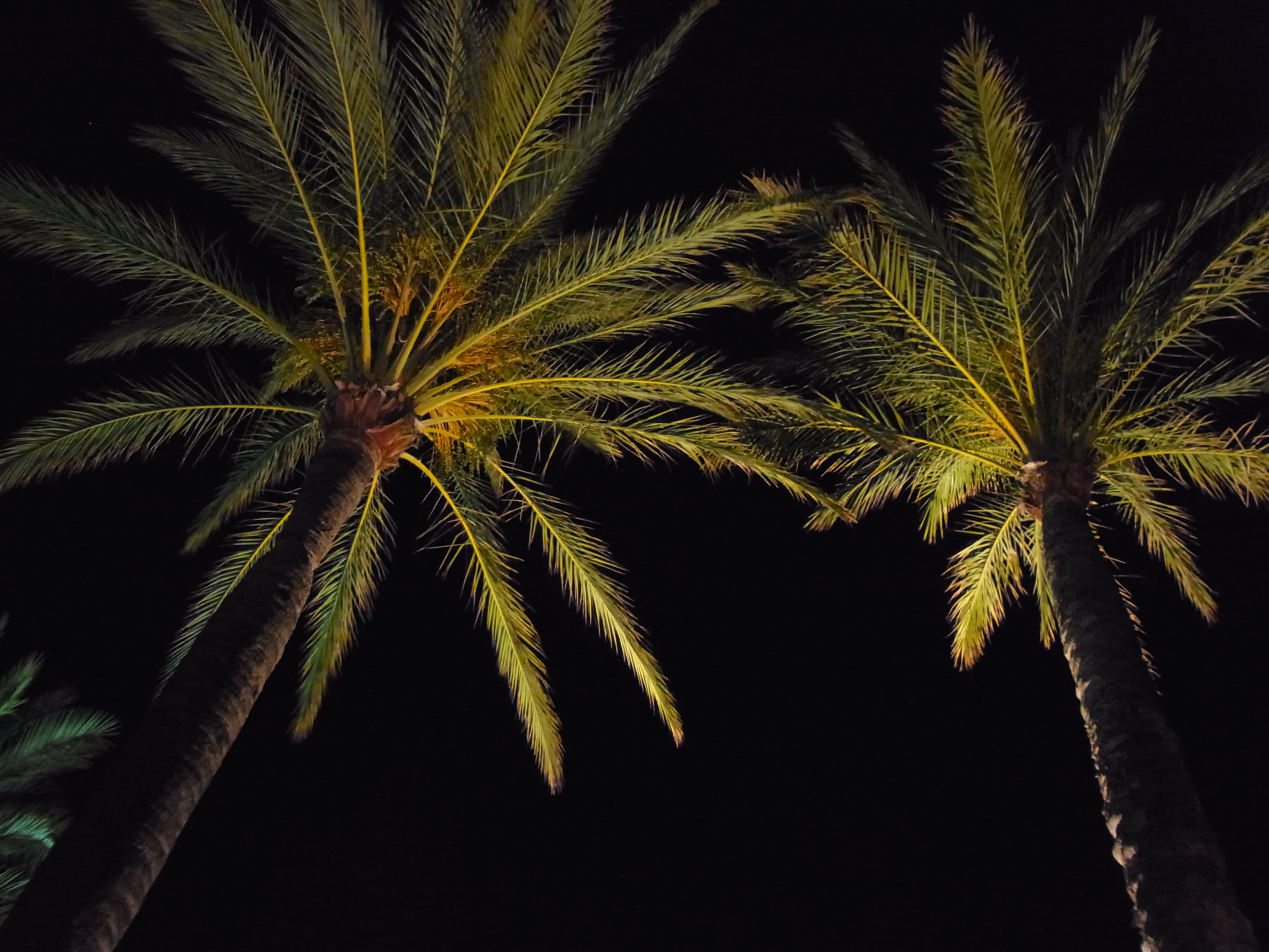 Mallorca bei Nacht.