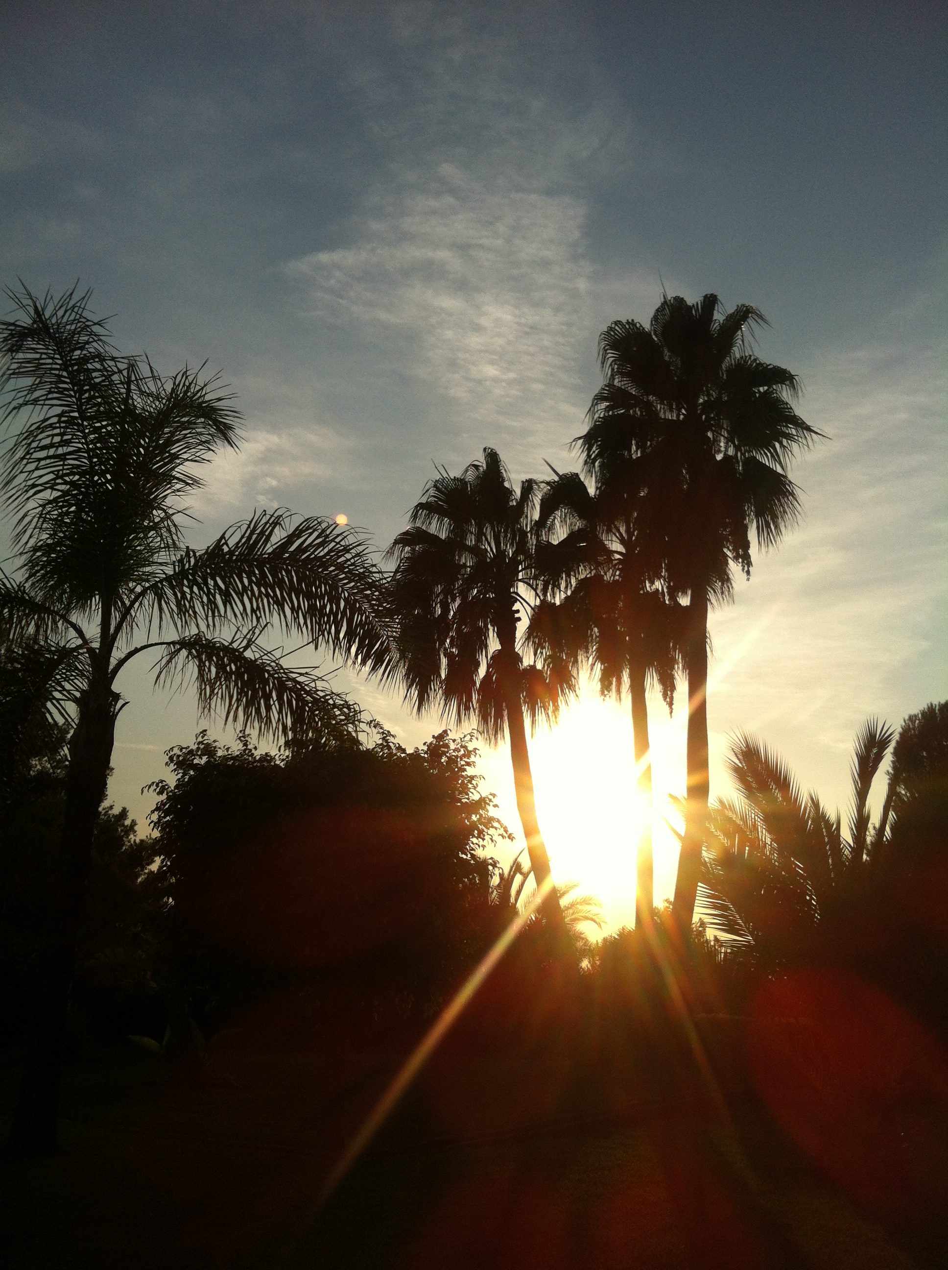 Sonnenuntergang im Garten