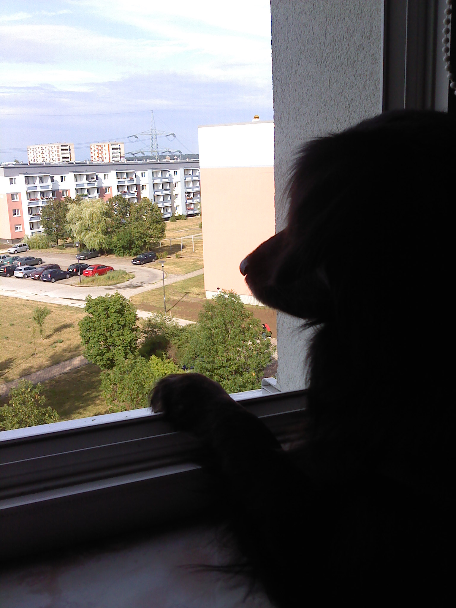 Der kleene guckt so gerne aus'm Fenster.