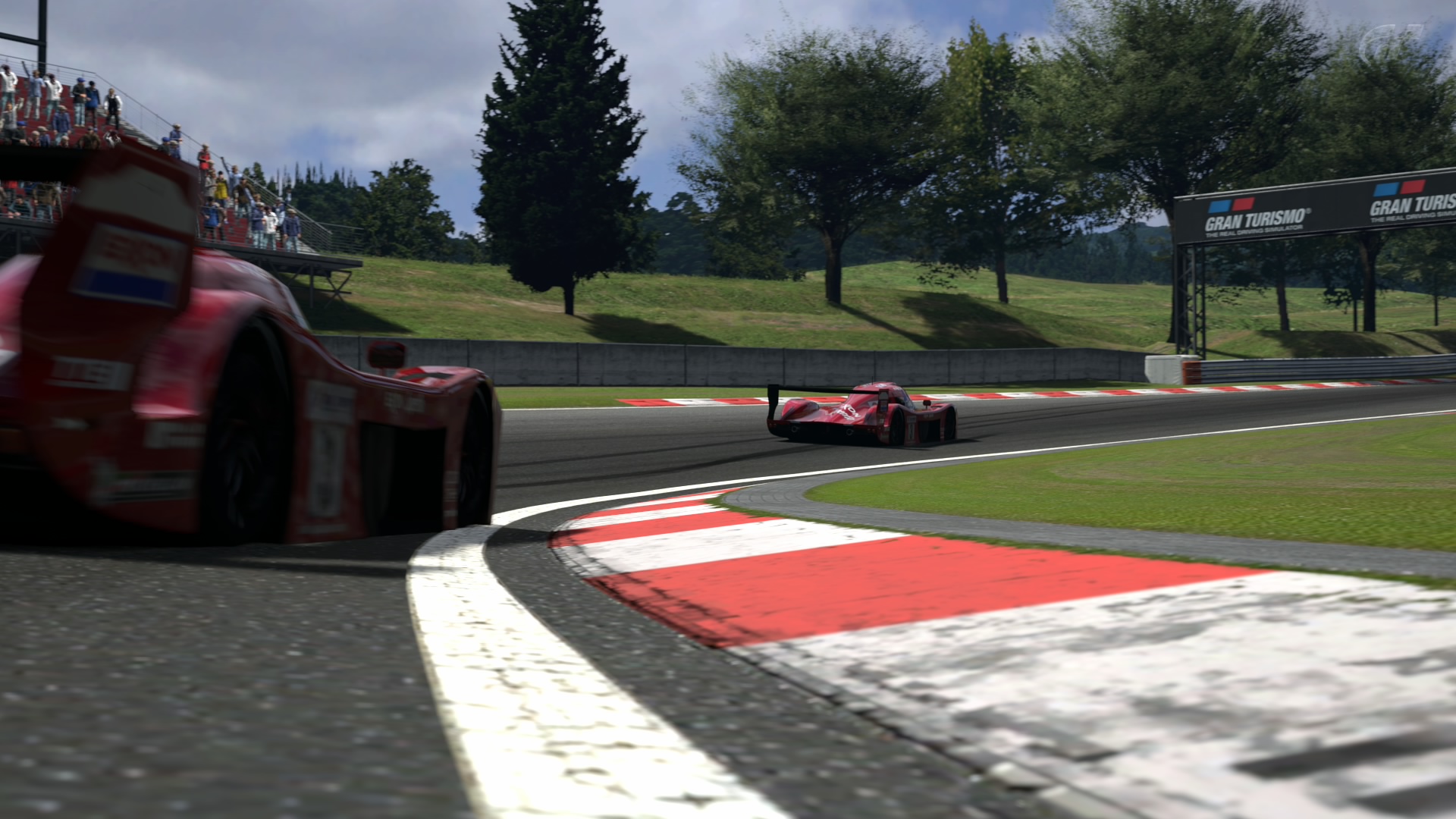 Deep Forest Raceway 2