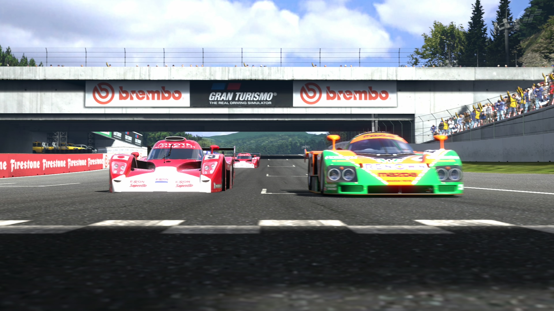 Deep Forest Raceway 23