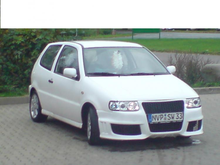 Mein Polo