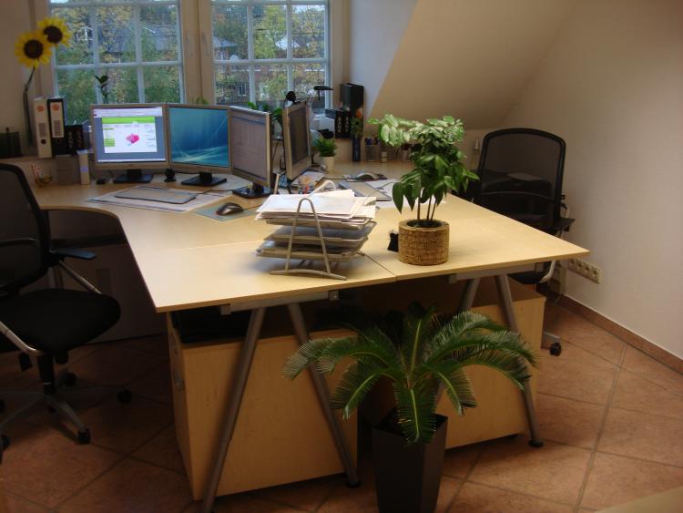 In dem Büro arbeite ich unter anderem an diesem Forum ;). Auf der linken Seite sitze ich, gegenüber sitzt Bebiekatze.