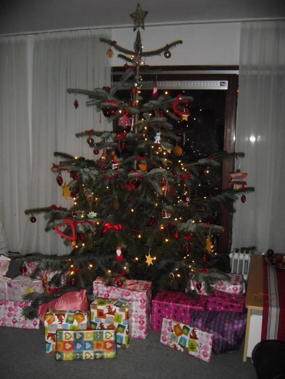 Weihnachtsbaum2010