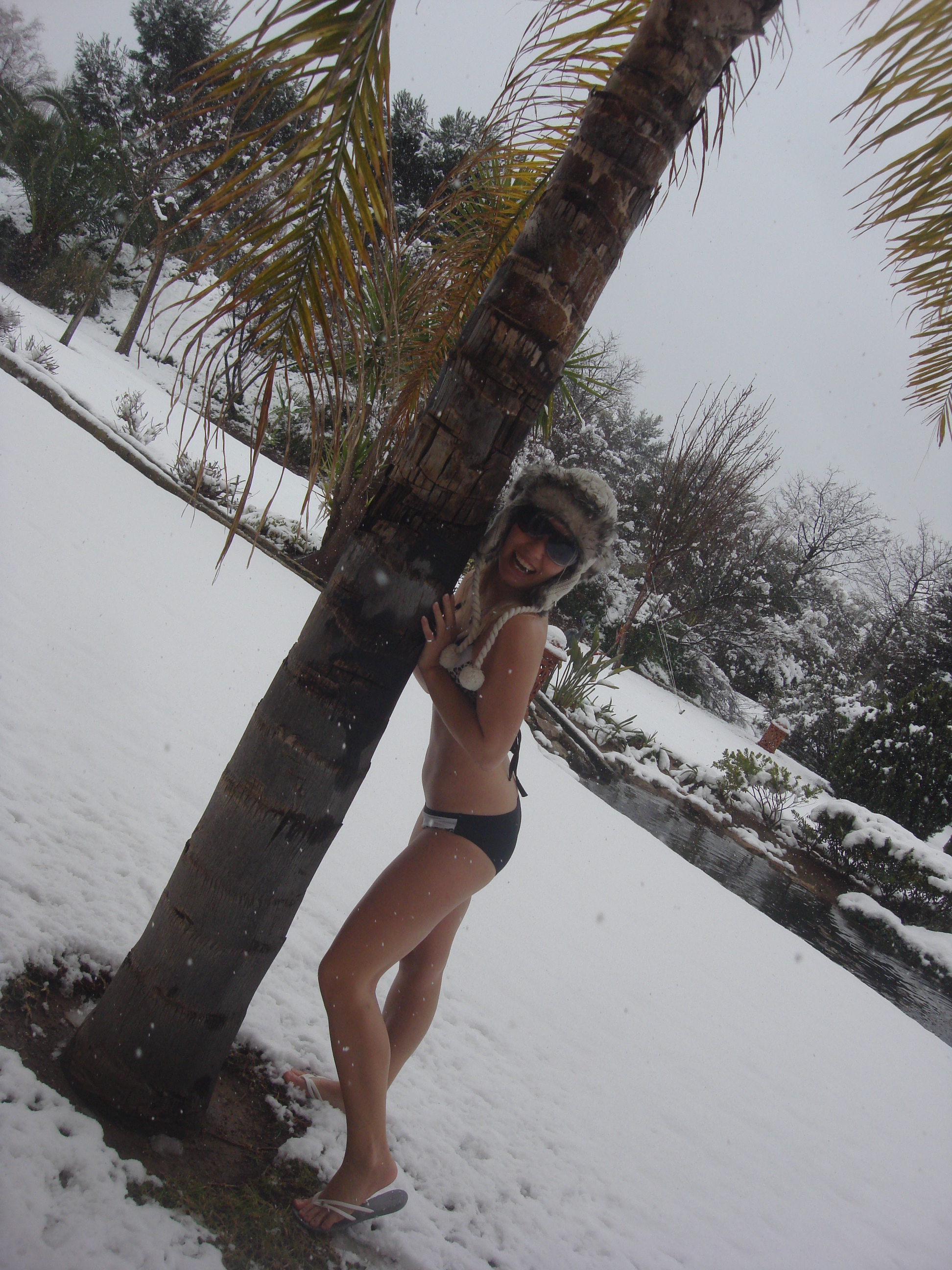 Schnee und Palmen. Passt das zusammen?