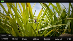 Green_field_CTF_theme_for_PSP.jpg