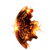 seite-finsternis.png